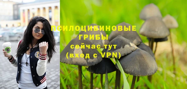 экстази Зеленокумск