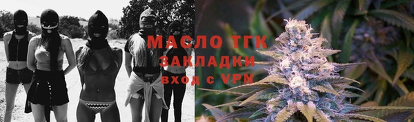 индика Зеленодольск