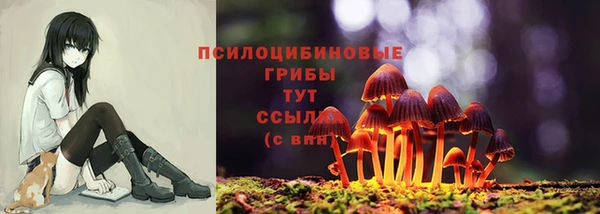 индика Зеленодольск