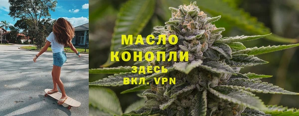 индика Зеленодольск
