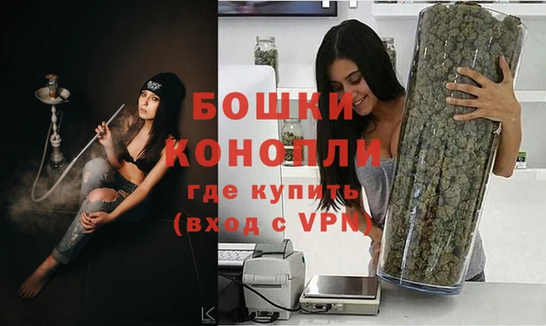 индика Зеленодольск