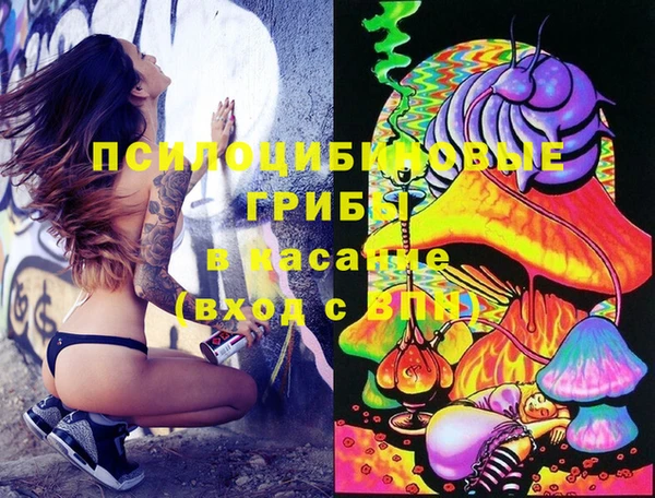 индика Зеленодольск