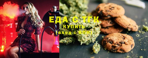 индика Зеленодольск