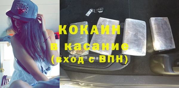 индика Зеленодольск