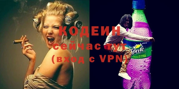 индика Зеленодольск