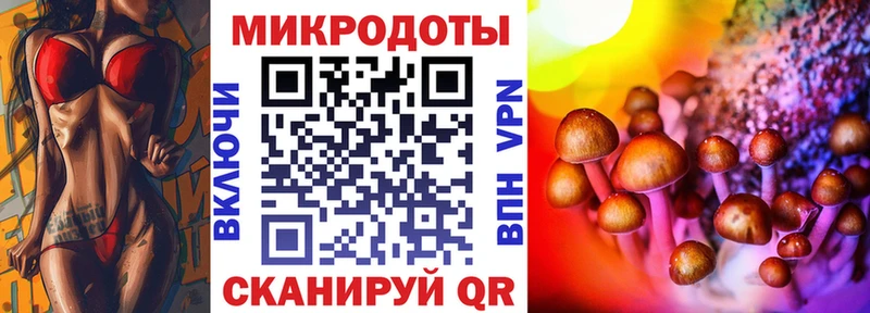 Галлюциногенные грибы MAGIC MUSHROOMS  Купить закладки  Спас-Деменск 
